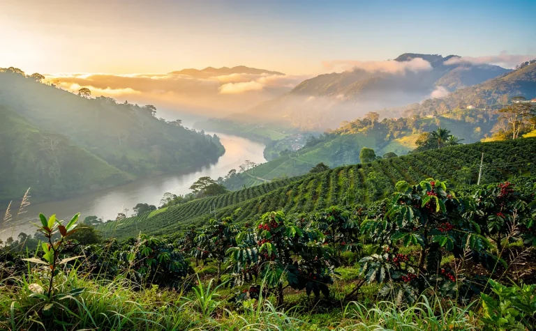Vue photoréaliste de Boquete à l’aube avec des montagnes verdoyantes, des plantations de café, une rivière sinueuse et une lumière dorée.