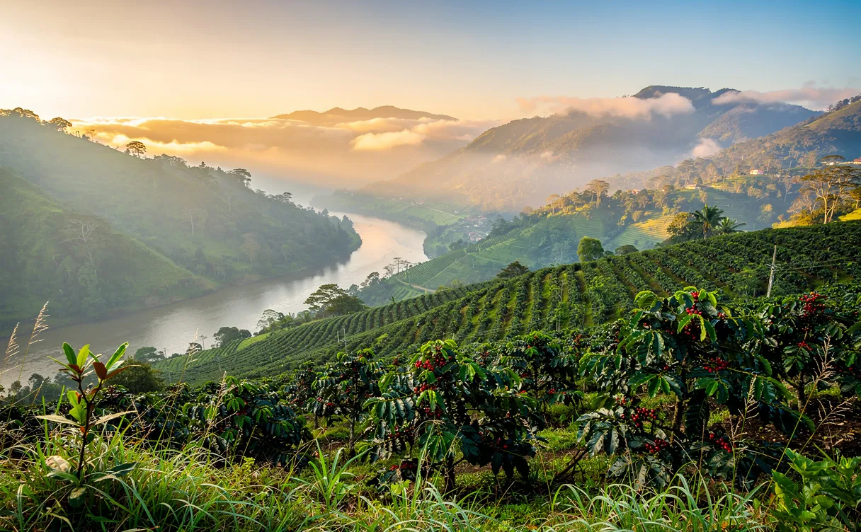 Vue photoréaliste de Boquete à l’aube avec des montagnes verdoyantes, des plantations de café, une rivière sinueuse et une lumière dorée.