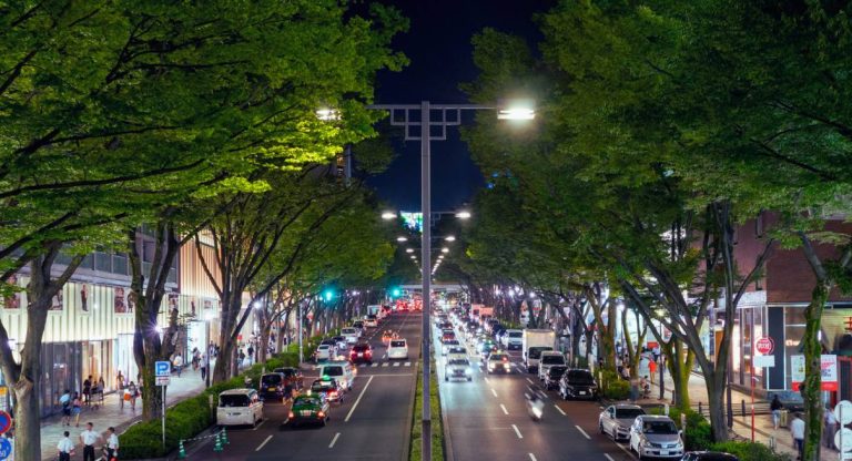 Avenue illuminée de nuit dans le quartier d'Omotesando à Tokyo avec ses arbres et ses boutiques
