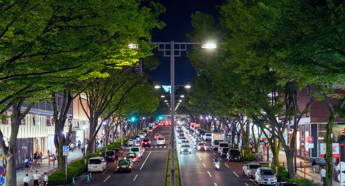 Avenue illuminée de nuit dans le quartier d'Omotesando à Tokyo avec ses arbres et ses boutiques