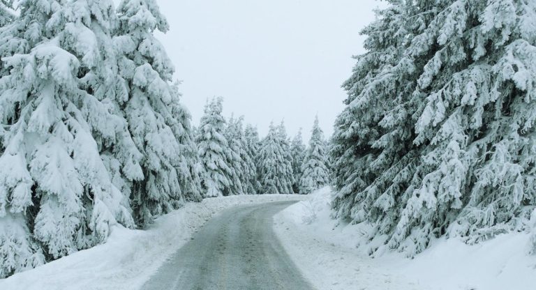 Route de montagne enneigee bordee de sapins couverts de neige en hiver
