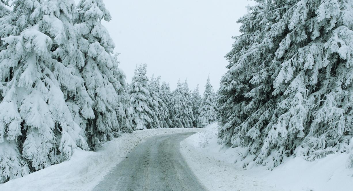 Route de montagne enneigee bordee de sapins couverts de neige en hiver