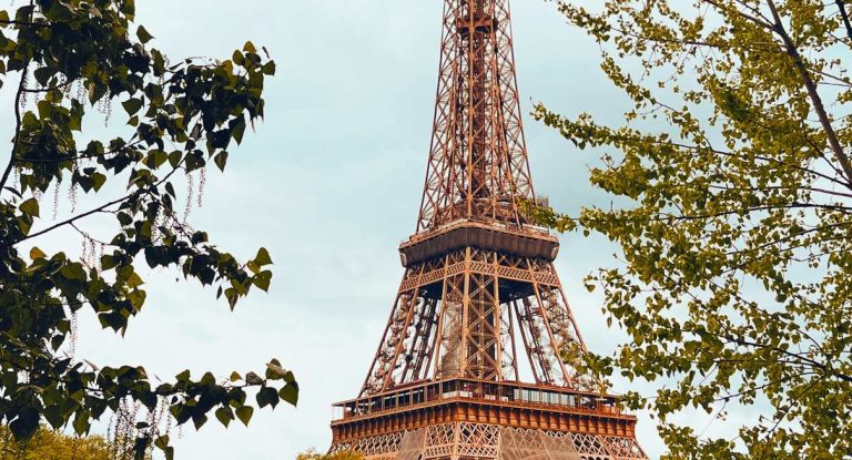 Tour Eiffel encadrée par des arbres verts dans un parc de Paris