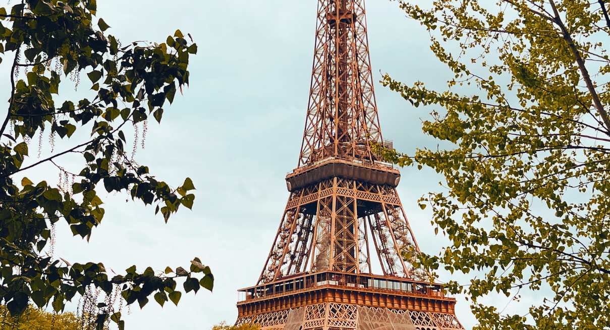 Tour Eiffel encadrée par des arbres verts dans un parc de Paris