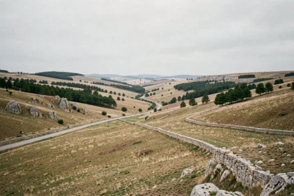 Paysage rural vide et sauvage de la Lozère, département le moins peuplé de France, avec collines boisées et route déserte
