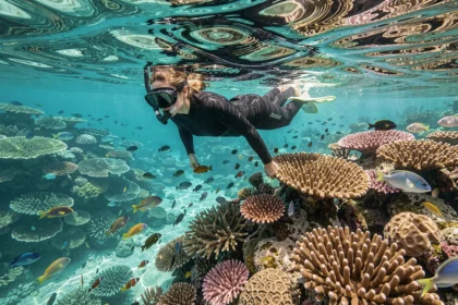Femme faisant de la plongée avec tuba au-dessus de la Grande Barrière de Corail en Australie en avril, vue aérienne du récif corallien coloré